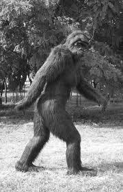 Not Bigfoot